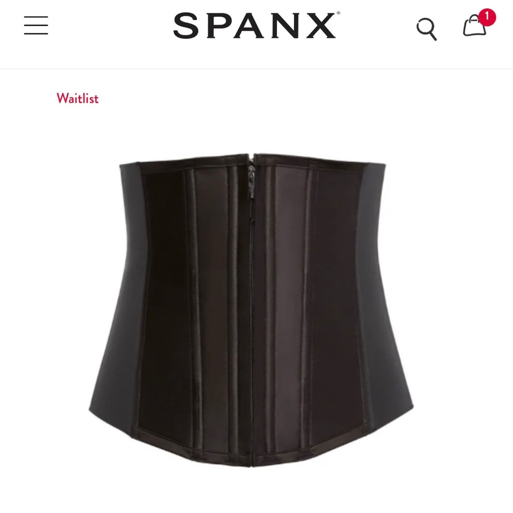 Spanx Under Sculpture Corset/Waist Cincher